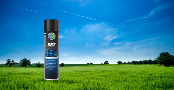 587 in Landschaft